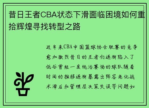 昔日王者CBA状态下滑面临困境如何重拾辉煌寻找转型之路
